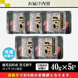 s707 ＜定期便・全6回(連続月)＞鹿児島県産黒毛和牛ユッケ(計1.2kg・40g×5パック×6回) 鹿児島 国産牛 九州産 牛肉 黒牛 生食用 小分け 冷凍 ユッケ 黒毛和牛 牛 【カミチク】