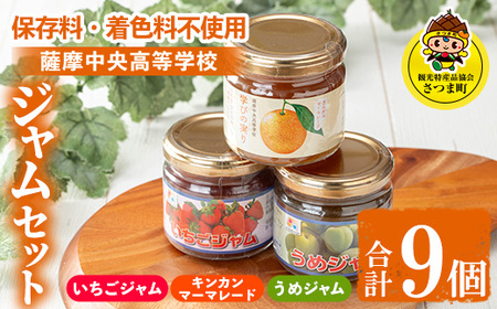 s715 薩摩中央高校ジャムセット(150g×3個×3種・合計9個) 鹿児島 加工食品 果物 詰め合わせ 梅 うめ ハンドメイド ジャム マーマレード ギフト 手作り 【一社)さつま町観光特産品協会】