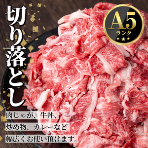 s700  ＜定期便・全3回＞鹿児島県産 北さつま高崎牛 切り落とし肉(計3kg(約500g×2P×3回) 国産 九州産 黒毛和牛 A5ランク A5等級 赤身 雌牛 切落し 切り落し 切落とし 牛肉 小分け お肉 真空パック 冷凍 【太田家】
