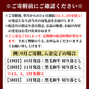 s700  ＜定期便・全3回＞鹿児島県産 北さつま高崎牛 切り落とし肉(計3kg(約500g×2P×3回) 国産 九州産 黒毛和牛 A5ランク A5等級 赤身 雌牛 切落し 切り落し 切落とし 牛肉 小分け お肉 真空パック 冷凍 【太田家】
