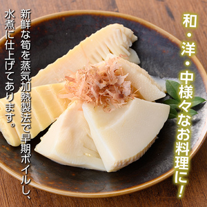 s722 ≪訳あり≫たけのこ水煮 切り落としタイプ(計約800g・200g×4袋) 鹿児島 国産 タケノコ 竹の子 水煮 野菜 切り落し パック 煮物 炊き込みご飯 常温保存 常温 【北薩農産加工場】