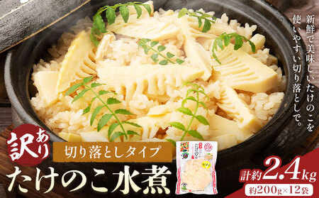 訳あり たけのこ水煮 切り落としタイプ 計約2.4kg(約200g×12袋) 北薩農産加工場《30日以内に出荷予定(土日祝除く)》鹿児島県 たけのこ 筍 水煮 使いやすい 定期便 春 旬 料理 調理