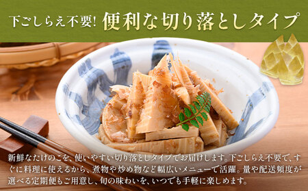 訳あり たけのこ水煮 切り落としタイプ 計約2.4kg(約200g×12袋) 北薩農産加工場《30日以内に出荷予定(土日祝除く)》鹿児島県 たけのこ 筍 水煮 使いやすい 定期便 春 旬 料理 調理