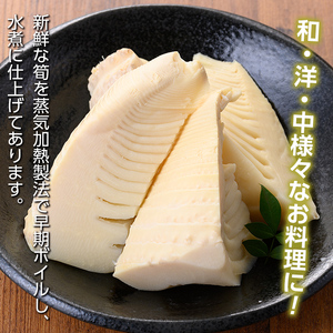 s721 《訳あり・毎月数量限定》たけのこ水煮カットタイプ(約500g×6袋・計約3kg) 鹿児島 国産 水煮 たけのこ 筍 タケノコ 煮物 炊き込みご飯 常温保存 常温 【北薩農産加工場】