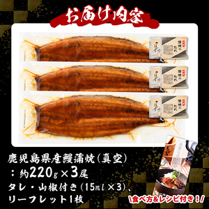 s730 ＼特大サイズ／ 鹿児島県産 鰻蒲焼真空セット！(計約660g・約220g×3尾) タレ・山椒付！ 鹿児島 九州産 国産 うなぎ ウナギ 鰻 土用の丑の日 蒲焼き うな重 ひつまぶし 冷凍 【薩摩川内鰻】