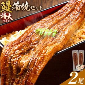 s729 ＼特大サイズ／ 鹿児島県産 鰻蒲焼真空セット！(計約440g・約220g×2尾) タレ・山椒付！ 鹿児島 九州産 国産 うなぎ ウナギ 鰻 土用の丑の日 蒲焼き うな重 ひつまぶし 冷凍 【薩摩川内鰻】