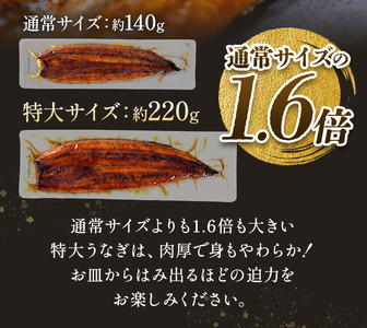 s729 ＼特大サイズ／ 鹿児島県産 鰻蒲焼真空セット！(計約440g・約220g×2尾) タレ・山椒付！ 鹿児島 九州産 国産 うなぎ ウナギ 鰻 土用の丑の日 蒲焼き うな重 ひつまぶし 冷凍 【薩摩川内鰻】