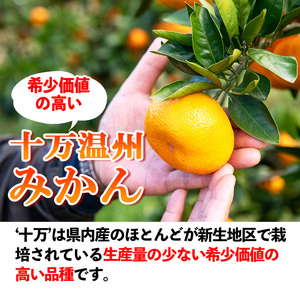 s765 ≪先行予約受付中！2025年12月中旬より順次発送≫十万温州みかん(計約5kg・M～Lサイズ) 鹿児島 国産 九州産 フルーツ 柑橘 みかん 蜜柑 【田野農園】