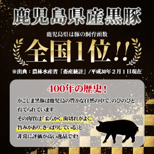 s044 (C-801) 鹿児島黒豚とんかつセット(900g) さつま町 特産品 肉 ロース とんかつ 豚カツ 鹿児島 黒豚【JA北さつま】