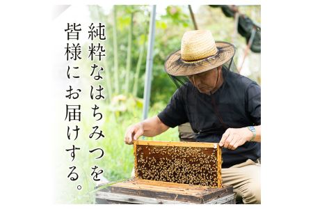 s054 国産天然山蜜チューブタイプ(250g×2・計500g)鹿児島県産の純粋はちみつ！さつま町の野山に咲く花からとれた蜂蜜をお届け！ さつま町 特産品 鹿児島県産 天然 100％ 純粋はちみつ 蜂蜜 ハニー 国産 ヨーグルト パン【下市養蜂場】