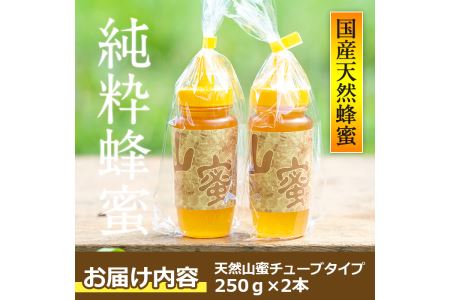 s054 国産天然山蜜チューブタイプ(250g×2・計500g)鹿児島県産の純粋はちみつ！さつま町の野山に咲く花からとれた蜂蜜をお届け！ さつま町 特産品 鹿児島県産 天然 100％ 純粋はちみつ 蜂蜜 ハニー 国産 ヨーグルト パン【下市養蜂場】