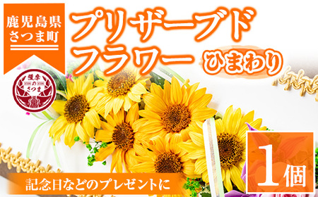 s107 ≪毎月数量限定≫プリザーブドフラワー(ひまわり)鹿児島県さつま町で大切に育てられた花を使用！記念日などのプレゼントインテリアにも◎ さつま町 特産品 鹿児島 花 フラワー プレゼント ギフト インテリア 記念日 誕生日 結婚祝い 祝い お供え【南原農園】