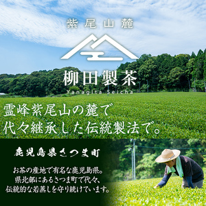 s115 ＜先行予約受付中！2025年5月より順次発送＞限定紫尾山麓若蒸煎茶＜新茶＞(さえみどり新茶90g×3袋)【柳田製茶】