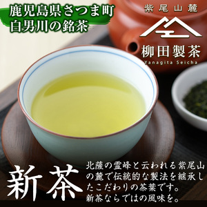 s115 ＜先行予約受付中！2025年5月より順次発送＞限定紫尾山麓若蒸煎茶＜新茶＞(さえみどり新茶90g×3袋)【柳田製茶】