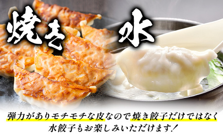 餃子 鹿児島 うんまか豚 生餃子 108個