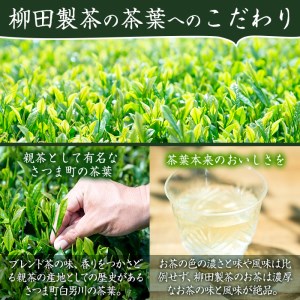 s233 若蒸上煎茶TEA BAG(計40P・3g5P入×8袋)伝統的な製法を継承した若蒸茶！緑茶本来の味、香りを！簡単便利なマグカップ用ティーバッグ さつま町 特産品 鹿児島 国産 九州産 日本茶 若蒸茶 お茶 緑茶 ティーバッグ【柳田製茶】