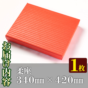 s294 《毎月数量限定》柔座（60×340×420mm・1枚）クッション性が高く耐久性も◎ さつま町 特産品 鹿児島 畳 たたみ 柔座 座布団 ざぶとん【宮畳工場】