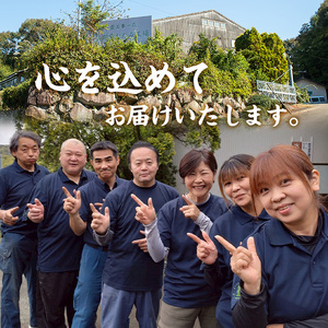 s294 《毎月数量限定》柔座（60×340×420mm・1枚）クッション性が高く耐久性も◎ さつま町 特産品 鹿児島 畳 たたみ 柔座 座布団 ざぶとん【宮畳工場】