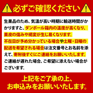 s319 ＜先行予約受付中！2025年2月中旬より順次発送予定＞《期間・数量限定》大将季デコ(約3kg)箱満杯詰め！種が無くジューシーな味わい！鹿児島 畳 たたみ 置き畳 リノベーション インテリア 和室 モダン【よしたか農園】