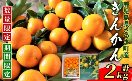 s422 ＜先行予約受付中！2026年1月中旬頃～2月中旬頃発送予定＞《期間・数量限定》フルーツきんかん(計2kg)贈答にもおすすめ！ 果物 フルーツ きんかん キンカン 金柑 柑橘 ギフト 贈答 プレゼント 【JA北さつま】