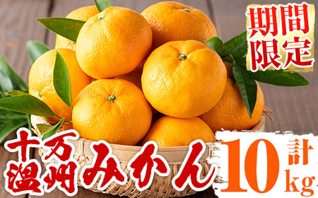 s498 ≪先行予約受付中！2025年12月中旬より順次発送≫十万温州みかん(計約10kg・M～Lサイズ) 鹿児島 国産 九州産 フルーツ 柑橘 みかん 蜜柑 【田野農園】