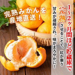 s498 ≪先行予約受付中！2025年12月中旬より順次発送≫十万温州みかん(計約10kg・M～Lサイズ) 鹿児島 国産 九州産 フルーツ 柑橘 みかん 蜜柑 【田野農園】