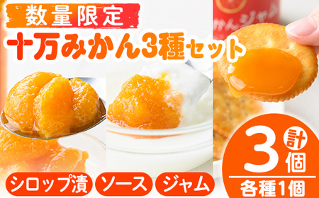 s523 ≪毎月数量限定≫十万みかん加工品3種セット(シロップ漬け・ソース・ジャム各1個・計3個)鹿児島 国産 九州産 フルーツ 柑橘 ミカン 蜜柑 調味料 シロップ漬 果実【田野農園】