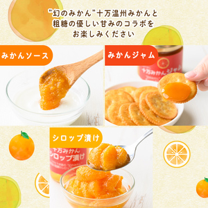 s523 ≪毎月数量限定≫十万みかん加工品3種セット(シロップ漬け・ソース・ジャム各1個・計3個)鹿児島 国産 九州産 フルーツ 柑橘 ミカン 蜜柑 調味料 シロップ漬 果実【田野農園】