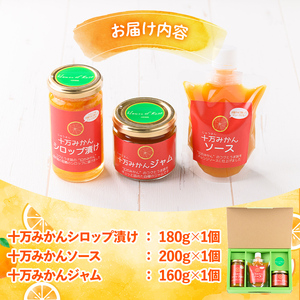 s523 ≪毎月数量限定≫十万みかん加工品3種セット(シロップ漬け・ソース・ジャム各1個・計3個)鹿児島 国産 九州産 フルーツ 柑橘 ミカン 蜜柑 調味料 シロップ漬 果実【田野農園】
