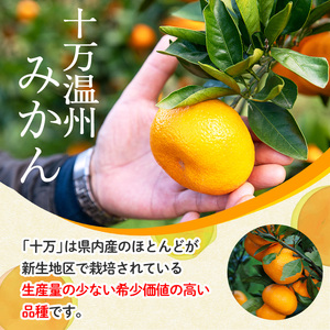 s516 ≪毎月数量限定≫十万温州みかんジャム(計4個・1個160g)国産 果物 蜜柑 鹿児島 国産 九州産 フルーツ 柑橘 ミカン 蜜柑 調味料【田野農園】