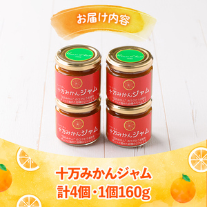 s516 ≪毎月数量限定≫十万温州みかんジャム(計4個・1個160g)国産 果物 蜜柑 鹿児島 国産 九州産 フルーツ 柑橘 ミカン 蜜柑 調味料【田野農園】