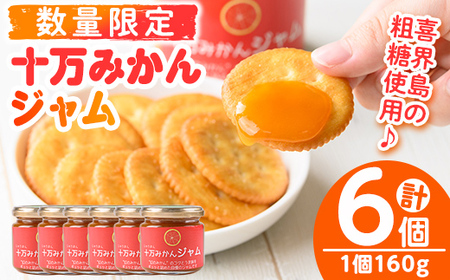 s517 ≪毎月数量限定≫十万温州みかんジャム(計6個・1個160g)鹿児島 国産 九州産 フルーツ 柑橘 ミカン 蜜柑 調味料【田野農園】