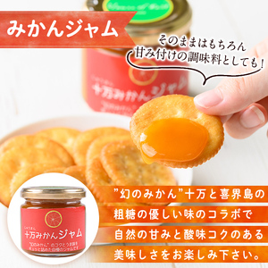 s517 ≪毎月数量限定≫十万温州みかんジャム(計6個・1個160g)鹿児島 国産 九州産 フルーツ 柑橘 ミカン 蜜柑 調味料【田野農園】