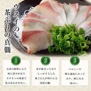 茶ぶり フィレ (1枚)【ウスイ】usui-7322