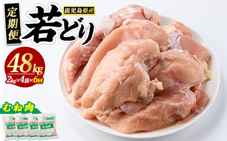 ＜定期便・全6回＞まつぼっくり 若どりムネ肉(計48kg・8kg×6回)【まつぼっくり】matu-1167