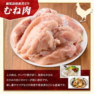 ＜定期便・全6回＞まつぼっくり 若どりムネ肉(計48kg・8kg×6回)【まつぼっくり】matu-1167