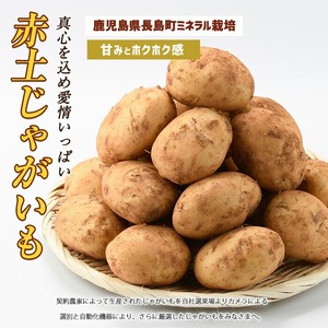 長島のミネラル栽培じゃがいも(計10kg)【エグチベジフル(株)】eguchi-7019
