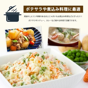 長島のミネラル栽培じゃがいも(計10kg)【エグチベジフル(株)】eguchi-7019