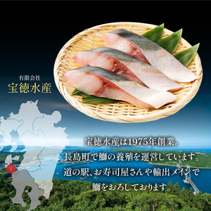 鰤ぶつ切り(アラ)5パック 鹿児島県産 国産 特産品 長島町産 鰤 ぶり ブリ 刺身 煮つけ 冷凍 急速冷凍 塩焼き 煮付け 鰤カツ 味噌汁 ブロック 切り身 おかず おつまみ 贈答 あら煮【宝徳水産】houtoku-7080