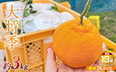 【先行予約】ながしまマンダリン王【露地】(大将季) 約3kg国産 長島 果物 フルーツ 柑橘 みかん オレンジ 詰め合わせ【ながしまマンダリングループ】mandarin-7196