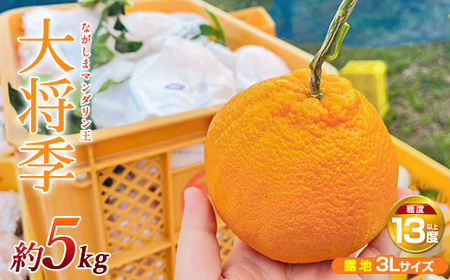 【先行予約】ながしまマンダリン王【露地】(大将季) 約5kg 国産 長島 果物 フルーツ 柑橘 みかん オレンジ おやつ セット 詰め合わせ【ながしまマンダリングループ】mandarin-7197