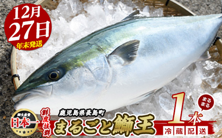 【2025年12月27日発送】テレビで紹介ぶりの王様「 鰤王 」 まるごと 1本 （約4.5kg） ラウンド 先行予約 産地直送 長島町 特産品 ブランド 鰤 冷蔵 ふるさと納税 ぶり 刺身 ぶりしゃぶ ぶり大根 海鮮丼 年末年始発送 【JFA】jfa-7r-1227