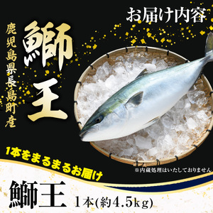 【12月28日発送予定】ぶりの王様「 鰤王 」 まるごと 1本 (約4.5kg) 産地直送 新鮮 旨味が抜群の 長島町 特産品 ブランド ぶり 鰤 ブリ 切り身 真空 冷蔵 刺身 ぶりしゃぶ しゃぶしゃぶ 魚 魚介 人気 ランキング 【JFA】jfa-6r-1228