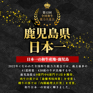 鹿児島県産 黒毛和牛 リブロース ステーキ 厚切り (計800g・400g×2枚) 【ナンチク】nanchiku-7255
