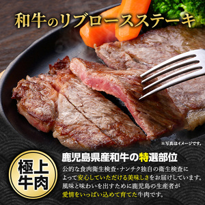 鹿児島県産 黒毛和牛 リブロース ステーキ 厚切り (計800g・400g×2枚) 【ナンチク】nanchiku-7255