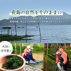 あおさうどん ツルツルミチル５食セット 【夫婦漁師Hashimoto】fuufu-7034