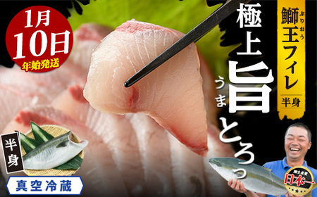 ＜数量限定＞【2026年1月10日発送】『旅サラダ』で紹介ぶりの王様「 鰤王 」 フィレ 半身 (約1.3～1.5kg・フィレ1枚) 産地直送 新鮮 旨味が抜群の 長島町 特産品 ブランド ぶり 鰤 ブリ 切り身 真空 冷蔵 刺身 ぶりしゃぶ しゃぶしゃぶ 魚 魚介 人気 ランキング 年末年始発送 【JFA】jfa-7f-0110