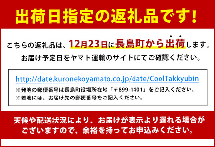 【2025年12月23日発送】テレビで紹介ぶりの王様「 鰤王 」 まるごと 1本 （約4.5kg） ラウンド 先行予約 産地直送 長島町 特産品 ブランド 鰤 冷蔵 ふるさと納税 ぶり 刺身 ぶりしゃぶ ぶり大根 海鮮丼 年末年始発送 【JFA】jfa-7r-1223