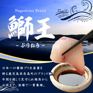 【2025年12月25日発送】テレビで紹介ぶりの王様「 鰤王 」 まるごと 1本 （約4.5kg） ラウンド 先行予約 産地直送 長島町 特産品 ブランド 鰤 冷蔵 ふるさと納税 ぶり 刺身 ぶりしゃぶ ぶり大根 海鮮丼 年末年始発送 【JFA】jfa-7r-1225