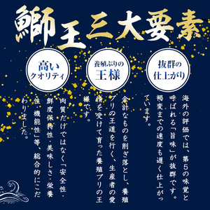 【2025年12月25日発送】テレビで紹介ぶりの王様「 鰤王 」 まるごと 1本 （約4.5kg） ラウンド 先行予約 産地直送 長島町 特産品 ブランド 鰤 冷蔵 ふるさと納税 ぶり 刺身 ぶりしゃぶ ぶり大根 海鮮丼 年末年始発送 【JFA】jfa-7r-1225